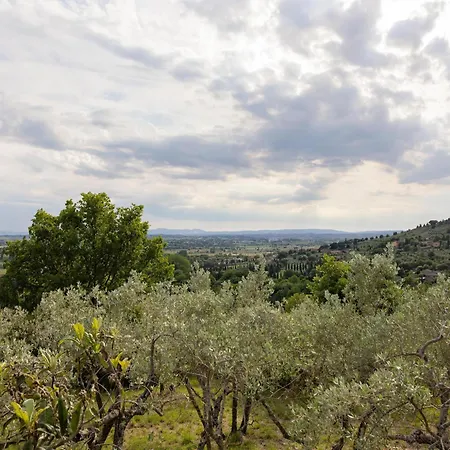 On A Picturesque Hillside, Breathtaking Views Of *